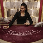 Blackjack VIP 15